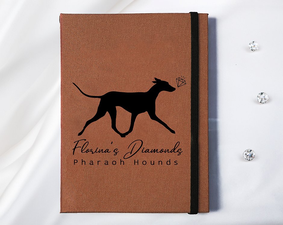 Florina´s Diamonds Pharaoh hounds  (ČR)