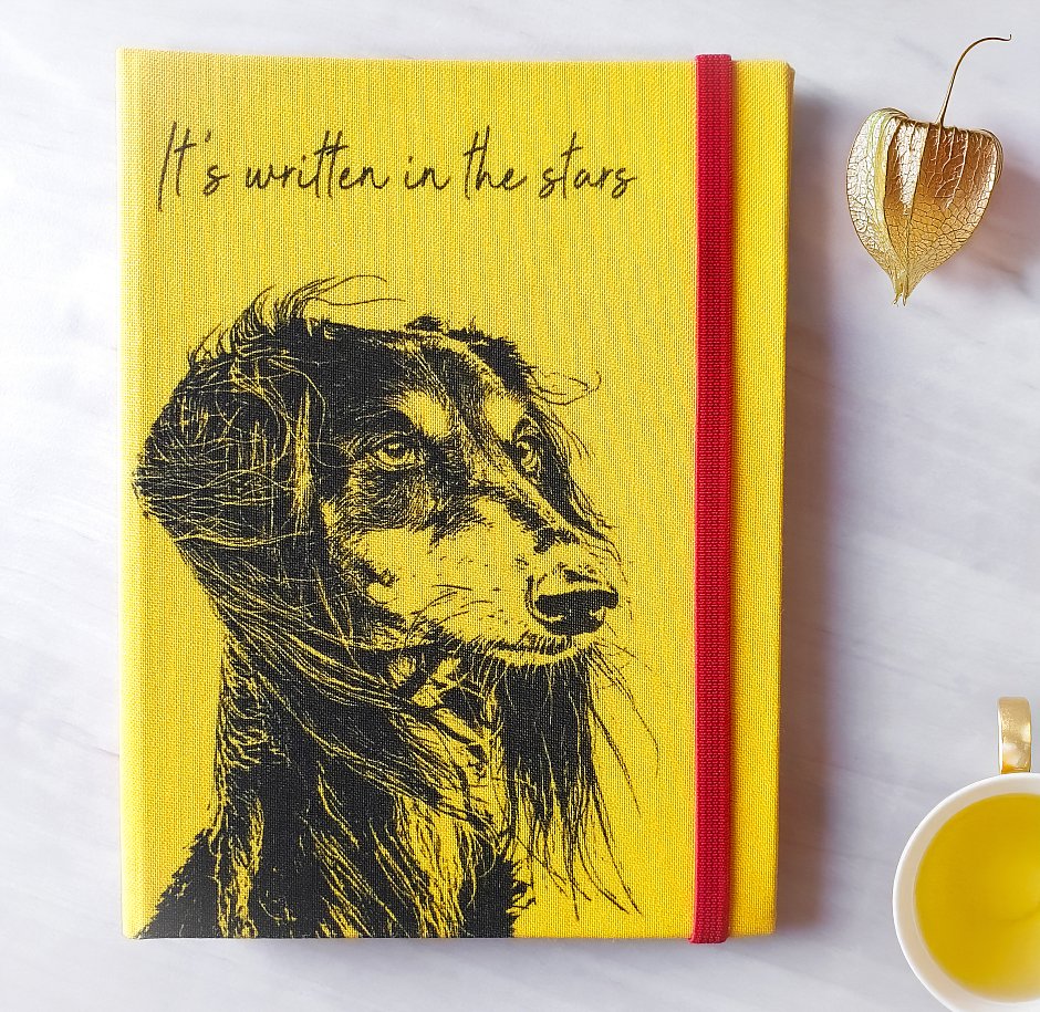 Saluki Falco - pouzdro na očkovací průkaz