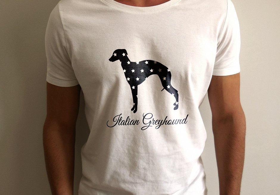 Italian greyhound - My Star