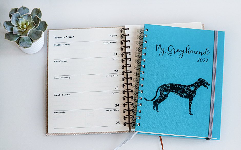 Greyhound Flo